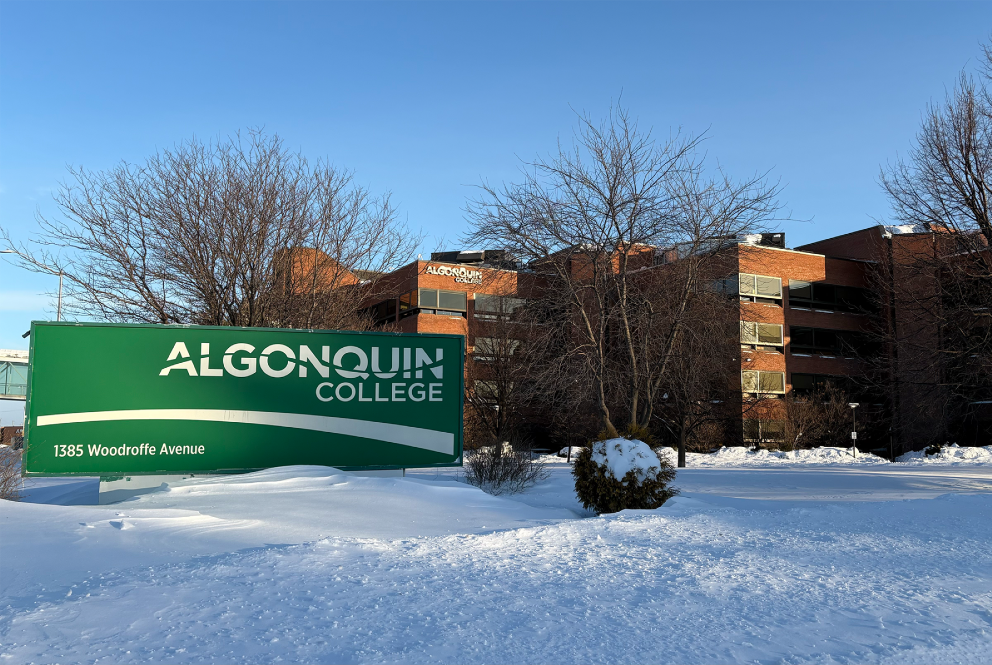 Algonquin College education